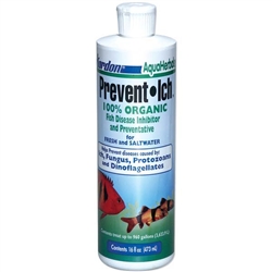 Kordon Prevent Ich 16 oz