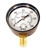 Lifegard Aquatics Replacement AF-94 Pressure Gauge (part# R172045BX)