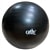 Cathe 55 cm Anti-Burst Black Stability & Exercise BALL
