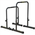 Cathe STS Adjustable Workout Dip & Pull-Up Bars