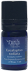 Certified Pure Premium Grade Eucalyptus Radiata Essential Oil | USDA Certified | Purify Skin Therapy