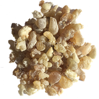 Frankincense Tear, Frankincense Resin for Incense, 1 ounce Frankincense Tears for Incense and Aromatherapy | Purify Skin Therapy
