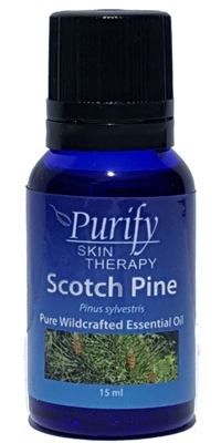 100% Pure Premium Grade, Wildcrafted Scotch Pine Essential Oil by Purify Skin Therapy