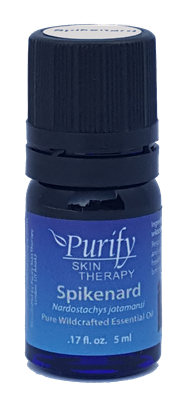 100% Pure Premium Grade, Wildcrafted Spikenard Essential Oil by Purify Skin Therapy