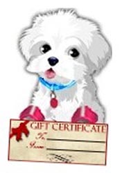 Gift Certificate