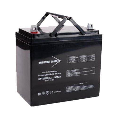 Bright Way Group BW-12550-Z-Group22NF 55Ah 12VDC AGM Sealed Lead Acid Battery