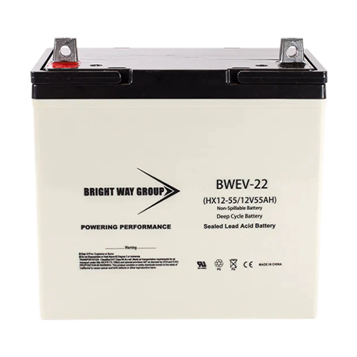 Bright Way Group BW-EV22-Z-Group22NF 55Ah 12VDC AGM Sealed Lead Acid Battery