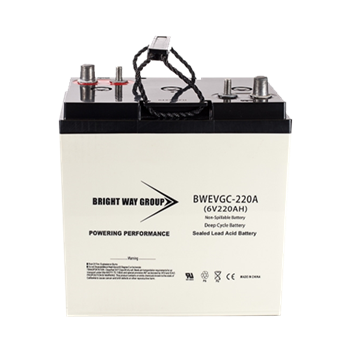 Bright Way Group BW-EVGC6-220A 220Ah 6VDC AGM Sealed Lead Acid Battery