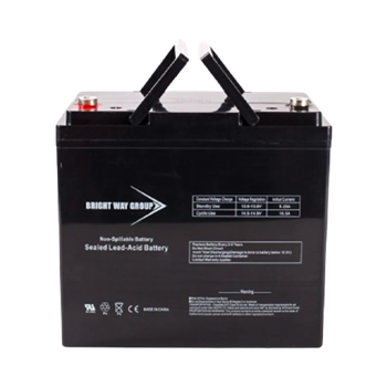 Bright Way Group BW12550-NB 55Ah 12VDC AGM Sealed Lead Acid Battery