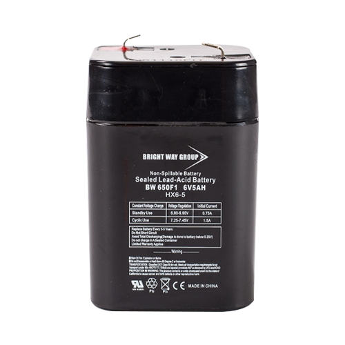 Bright Way Group BW650-F1 5Ah 6VDC AGM Sealed Lead Acid Battery
