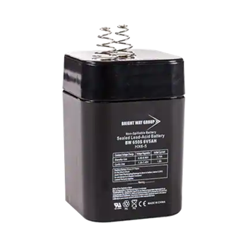 Bright Way Group BW650-SPRING 5Ah 6VDC AGM Sealed Lead Acid Battery
