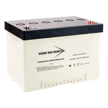 Bright Way Group BWEV34R 65Ah 12VDC AGM Sealed Lead Acid Battery w/ Right Positive Terminal