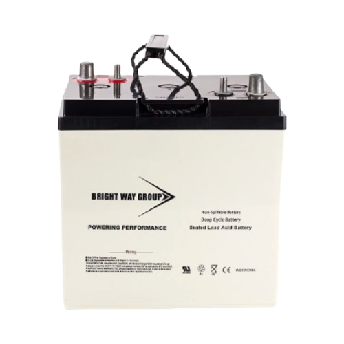 Bright Way Group BWEVGC6-210-DT 210Ah 6VDC AGM Sealed Lead Acid Battery