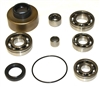 FS5W60A Bearing & Seal Kit BK173 - FS5W71 Nissan Transmission Part