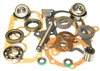 Dana 18 Transfer Case Bearing and Seal Kit, O.D. idler shaft 19mm, BK18B