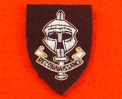 Special Reconnaissance Regiment Beret Badge
