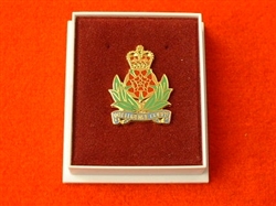 Quality Intelligence Corps Boxed Lapel Badge ( IC Lapel Badge )