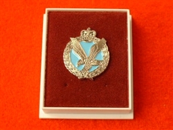 Quality Army Air Corps Boxed Lapel Badge ( AAC Lapel Badge )