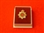 Quality Royal Army Service Corps Boxed Lapel Badge ( RASC Lapel Badge )