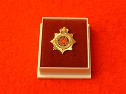 Quality Royal Army Service Corps Boxed Lapel Badge ( RASC Lapel Badge )