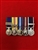 Court Mounted Northern Ireland CSM + Air OPs Iraq Bar Op Telic Iraq + Bar Queens Golden Jubilee Queens Diamond Jubilee RAF LSGC Miniature Medals