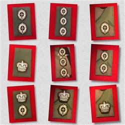 MTP Hook & Pile Foot Guards Colonel, UBAC'S Patch