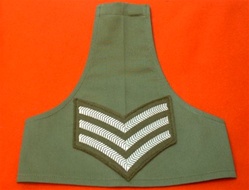 Olive Drab Rank Brassard Choose Your Own Rank