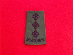 High Quality The Mercian Regiment Officer's Captain Olive Combat Rank Slide
