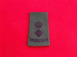 High Quality The Mercian Regiment Officer's Lieutenant Colonel Olive Combat Rank Slide