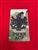 Princess of Wales's Royal Regiment King's Crown ACF WO1 MTP Combat Rank Slide
