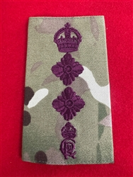 Royal Veterinary Corps Full Colonel King Charles Cypher Royal Appointment MTP Combat Rank Slide.