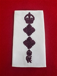 Royal Veterinary Corps Full Colonel King Charles Cypher Royal Appointment White Combat Rank Slide.