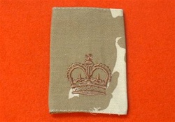 WO2 Desert DPM Combat Slides ( Warrant Officer Class 2 Desert DPM Combat Rank Slides )