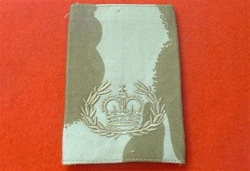 WO2 Desert Combat Slides ( Warrent Officer Class 2 With Wreath Desert Sand Combat Rank Slides )