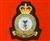 RAF Brize Norton Station Crest Badge ( Royal Air Force )