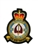 RAF SQN Crest Badge 10 SQN Official Crest Badge ( 10 Squadron Official Crest Badge )