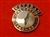 Palestine Veterans Enamel Lapel Badge ( Palestine Veteran Badge 1945-48 )