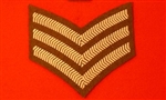 FAD Uniform SGT Chevron ( Future Army Dress Sergeant Stripes )