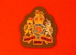 FAD Warrant Officer First Class Uniform Badge ( WO1 Future Army Dress Badge )