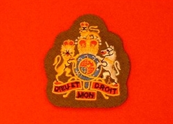 FAD Warrant Officer First Class Uniform Badge ( WO1 Future Army Dress Badge )