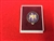 3rd Battalion Royal Anglian's Boxed Lapel Badge.