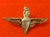 PARA Beret Badge ( Parachute Regiment Metal Beret Badge ) Queens Crown