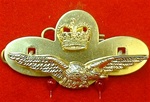 RAF Officers Hat Badge ( RAF Officers Side Cap Badge ) ER 11 Albatross plus Queens Crown