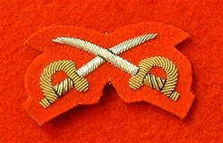 Mess Dress Crossed Swords ( Physical Training Instructor Mess Dress Badge )