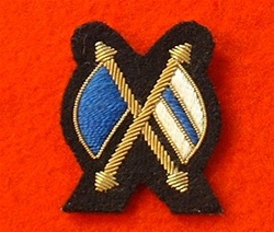 Mess Dress Crossed Flags