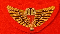 SAS OFFICERS WING