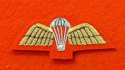 Mess Dress Para Badge Gold on red