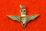 Enamel Parachute lapel Badge