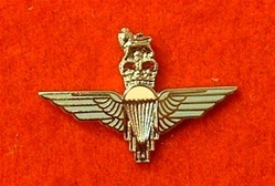Enamel Parachute lapel Badge