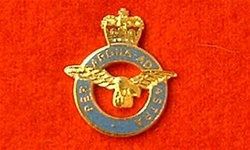 RAF Small Enamel Lapel Badge ( Royal Air Force Lapel Badge )